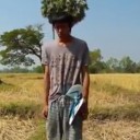 สมาชิกหมายเลข 2154014