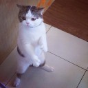 สมาชิกหมายเลข 2031761