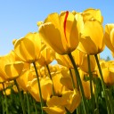 สมาชิกหมายเลข 842869