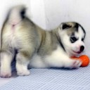 สมาชิกหมายเลข 1755656