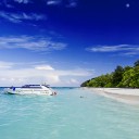 สมาชิกหมายเลข 1266480