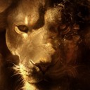 สมาชิกหมายเลข 1717534