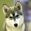 จีเล้งอ้วน