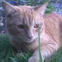 สมาชิกหมายเลข 838182