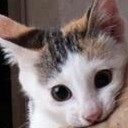 สมาชิกหมายเลข 927981