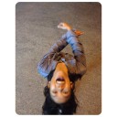 สมาชิกหมายเลข 1329449