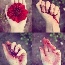 สมาชิกหมายเลข 1693582