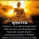 สมาชิกหมายเลข 2564194