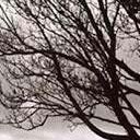 สมาชิกหมายเลข 2969466