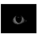 สมาชิกหมายเลข 846007