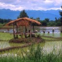 สมาชิกหมายเลข 928318