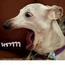 สมาชิกหมายเลข 958272