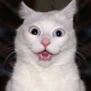 สมาชิกหมายเลข 1220226