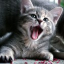 สมาชิกหมายเลข 3418805