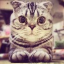 สมาชิกหมายเลข 1226666