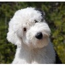 สมาชิกหมายเลข 1758284