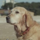 สมาชิกหมายเลข 2171257