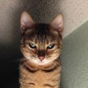 สมาชิกหมายเลข 2171660