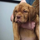 สมาชิกหมายเลข 2171923