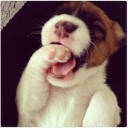 สมาชิกหมายเลข 799709