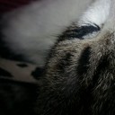 สมาชิกหมายเลข 1055658