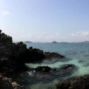 สมาชิกหมายเลข 1331128