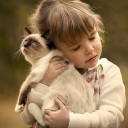 สมาชิกหมายเลข 1142471