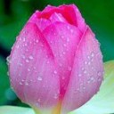 เวลาวารินท์