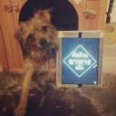 สมาชิกหมายเลข 726234