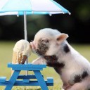 โอ้ลอร่า