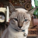 แม่น้ำทั้ง 6