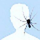 สมาชิกหมายเลข 1759557