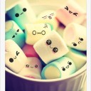 สมาชิกหมายเลข 987838