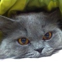 สมาชิกหมายเลข 2567589