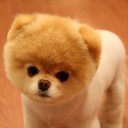 สมาชิกหมายเลข 2567597