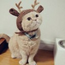 สมาชิกหมายเลข 2970172