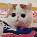 สมาชิกหมายเลข 930350