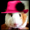 สมาชิกหมายเลข 930625