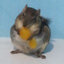 สมาชิกหมายเลข 1257794