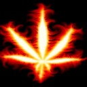 สมาชิกหมายเลข 1595213