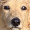 สมาชิกหมายเลข 1760218