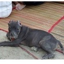 สมาชิกหมายเลข 2567857