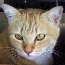 สมาชิกหมายเลข 931066