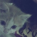 สมาชิกหมายเลข 931071