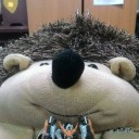 สมาชิกหมายเลข 3422106