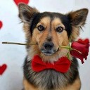 สวยแบบชรา อร่อยแบบอูมามิ