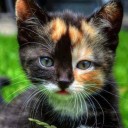 สมาชิกหมายเลข 931515