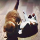 สมาชิกหมายเลข 2132895