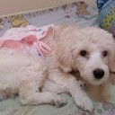 สมาชิกหมายเลข 774500