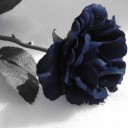 สมาชิกหมายเลข 1759026